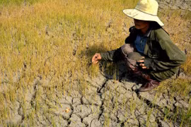 Vietnam promotes gender mainstreaming in climate change policies