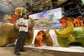 HCM City hosts numerous activities during Tet holiday