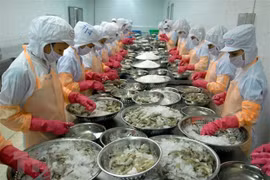 Businesses advised to find potential partners to increase exports to UK