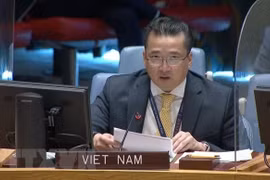 Vietnam supports enhanced cooperation between UNSC, AUPSC