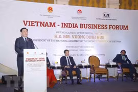 NA Chairman addresses Vietnam-India Business Forum 