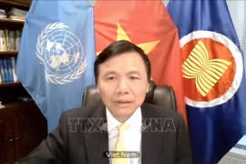 Vietnam attends UNSC meeting on protection of children amid COVID-19, armed conflicts