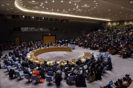 Vietnam concerned about recent developments in Cyprus