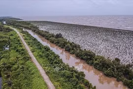 Experts seek measures to promote Mekong Delta’s sustainable growth