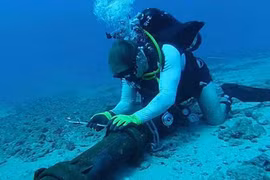 AAG undersea cable fixed, restoring internet speed in Vietnam