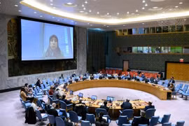 Vietnam highlights importance of long-term political solution for Syria