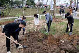 Provinces launch tree planting festival to support 1 billion tree programme