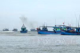 Ba Ria-Vung Tau to get tougher on illegal fishing in foreign waters