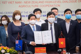 New Zealand, Vietnam boost agricultural cooperation
