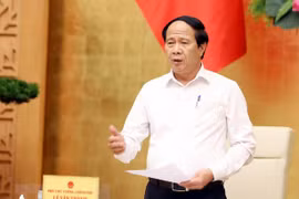 Deputy PM calls for natural disaster response scenarios amid COVID-19
