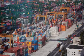 Singapore's non-oil domestic exports see record growth in four years