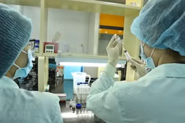 Vietnam calls for WB support in vaccine research, production