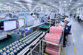 Dong Nai attracts 1.1 billion USD in FDI capital so far this year
