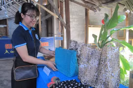 Zero waste systems could create more than 18,000 jobs in HCM City