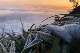 New cold spell to hit northern and central regions 