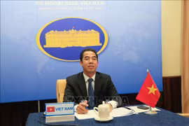 Vietnam, Serbia hold online political consultation