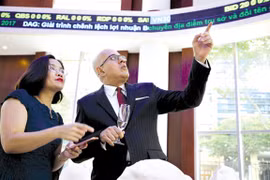 Domestic funds report impressive growth