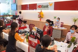 HDBank gets 50 mln USD from French development agency to finance green projects