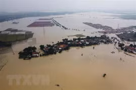 ASEAN to face numerous challenges due to climate change: report