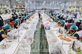 Thai Binh keeps yearly economic targets unchanged