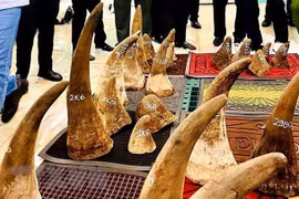 Vietnam hands over rhino horn DNA samples to South Africa