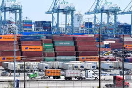 Economic growth in APEC region expected to be stable next year: report