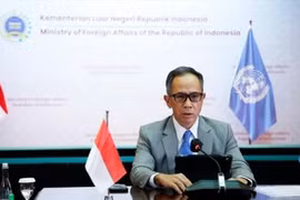 Indonesia proposes regional health mechanism