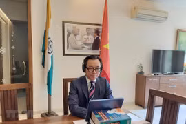Diplomacy helps raise Vietnam’s position in international arena: veteran diplomat