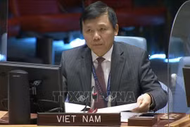 Vietnam calls for more efforts to stabilise situation in Bosnia and Herzegovina