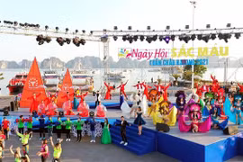 Thousands flock to Ha Long’s first-ever winter festival
