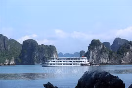 Quang Ninh strives to recover tourism, service sectors