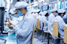 Vietnam encourages European investments in environmentally-friendly fields