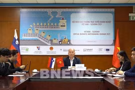 Vietnam, Slovenia eye cooperation potential in mechanical engineering