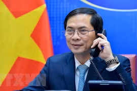 Vietnam, RoK beef up diplomatic collaboration