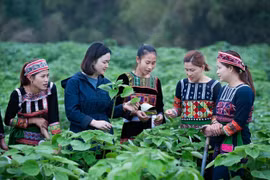 Extra efforts needed to ensure gender equality for ethnic women