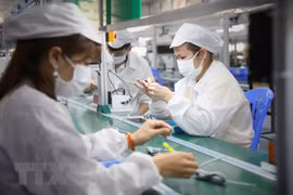 Can Tho shrugs off COVID, achieves impressive growth