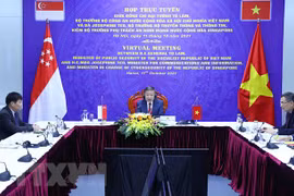 Vietnam, Singapore discuss enhancing cyber security ties