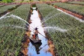 New policies drafted to encourage investment in agriculture