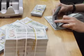 Reference exchange rate down further on June 11