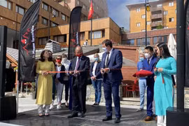 Second Vietnamese festival in France impresses visitors