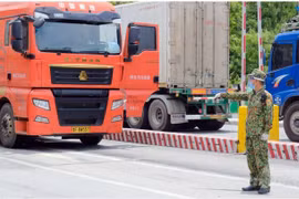Concerted efforts needed to ease barriers to Vietnam-China agricultural trade