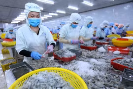 E-commerce platform a boost for Vietnam’s exports to EU
