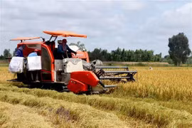 APEC economies commit to 10-year food security roadmap