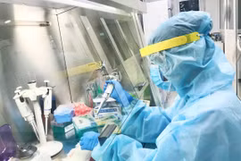 Vietnam’s COVID-19 testing capacity improved strongly: official