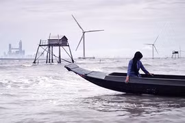 Vietnamese film about climate change available to rent online