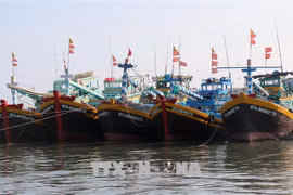 Kien Giang exerts efforts to lift EC “yellow card”