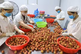 Australia provides 2 million USD to strengthen trade opportunities with Vietnam