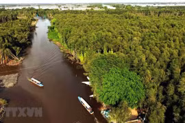 World Environment Day: Vietnam preserving Mekong Delta’s ecosystem