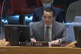 Vietnam calls for enhanced cooperation to address instability in Central African Republic, Syria