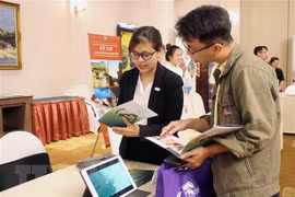 Heritage of central localities on show for HCM City citizens